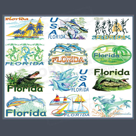 Vibrant Florida-Themed Screen Transfers Collection - Pack of 25