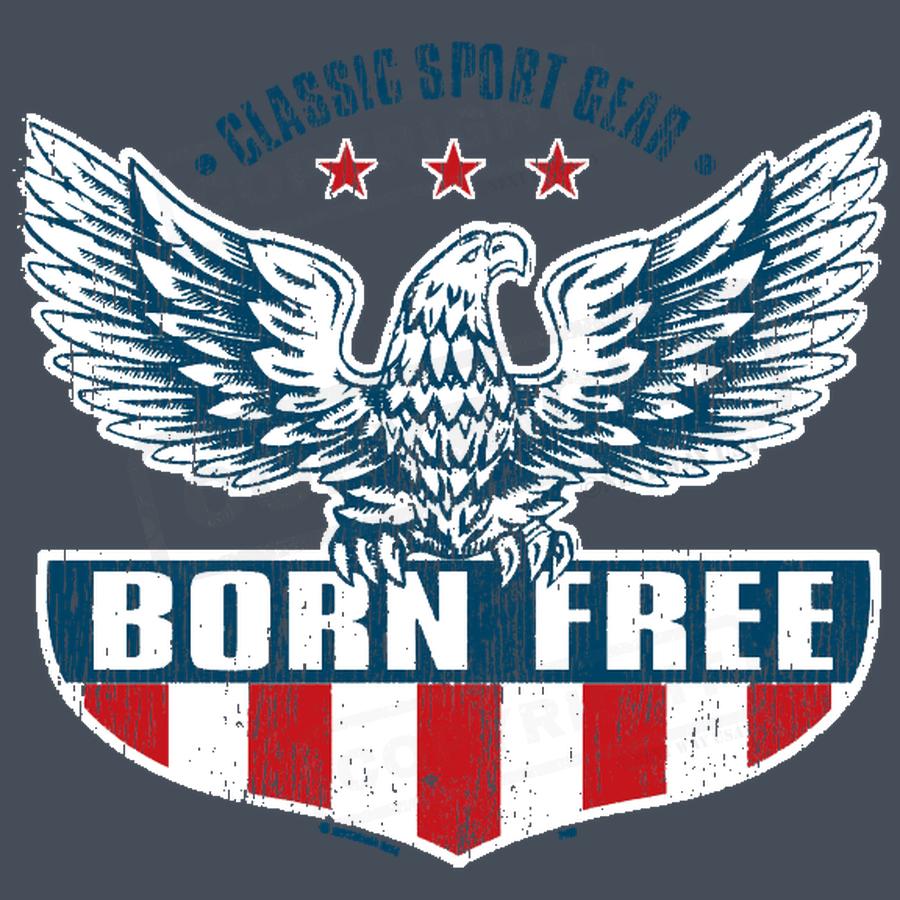 Patriotic Eagle Screen Transfer Decal - Pack of 25