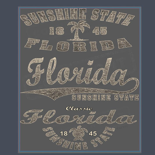 Vintage Florida State Screen Transfer Design - Pack of 25