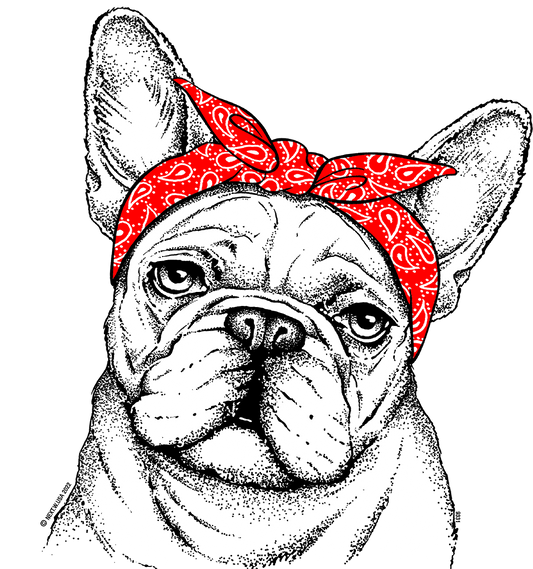 Retro Bulldog with Bandana Screen Transfer - Pack of 25