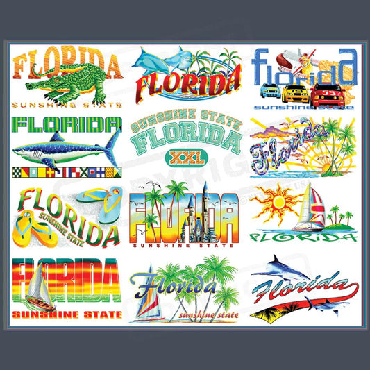 Vibrant Florida Sunshine State Transfers - Pack of 25