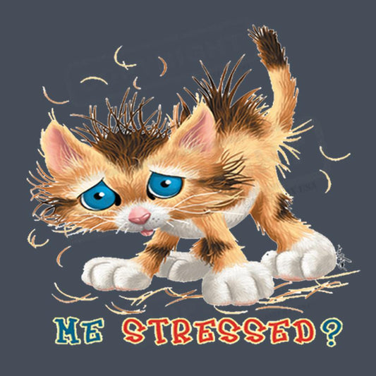 Cute Stressed Cat Screen Transfer Design - Pack of 25