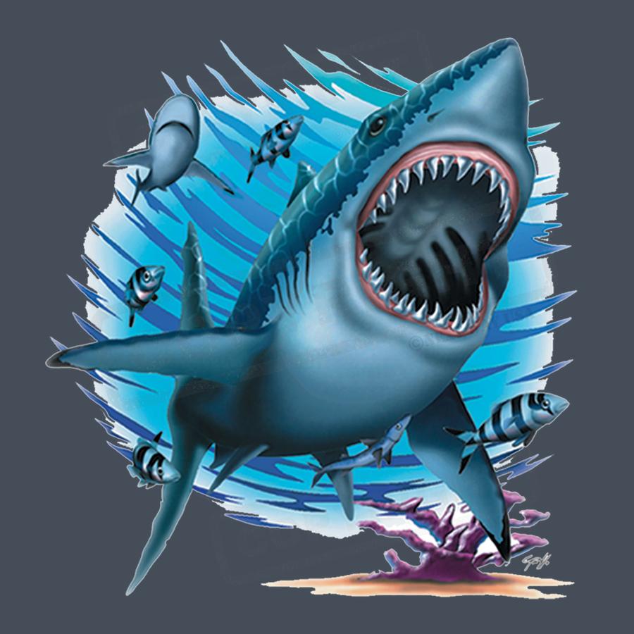 Ferocious Shark Attack Design Transfer - Pack of 25