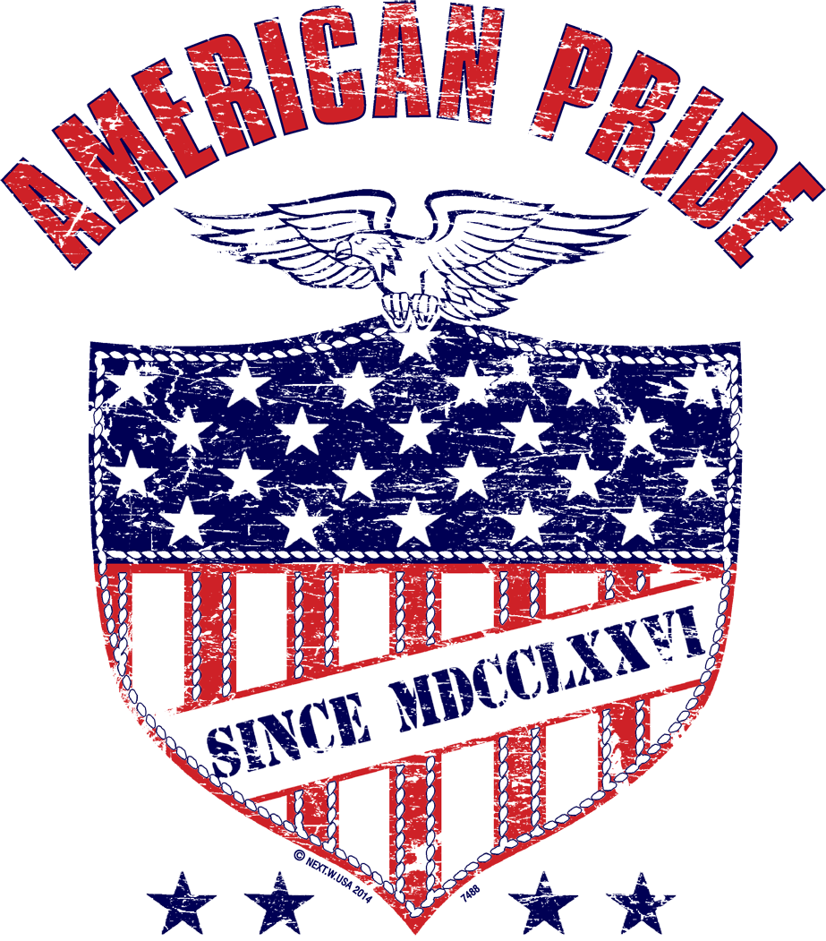 American Pride Eagle Screen Transfer - Pack of 25