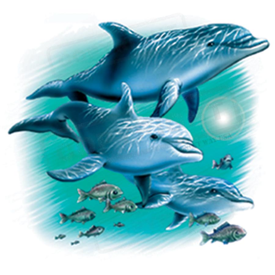 Ocean Adventure Dolphins Screen Transfer - Pack of 25