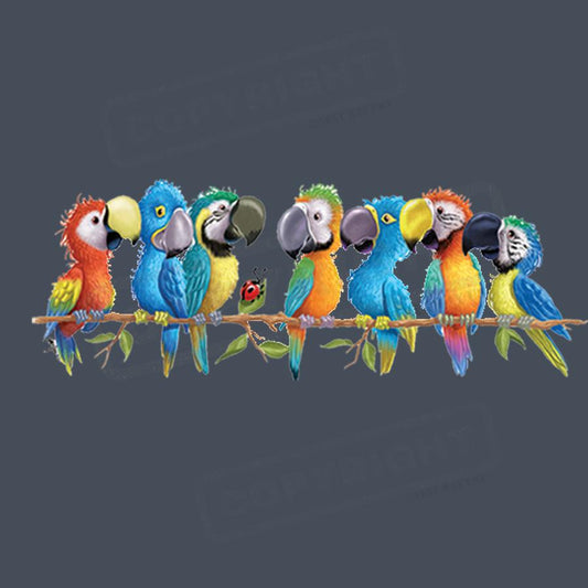 Colorful Parrots Screen Transfer Design - Pack of 25