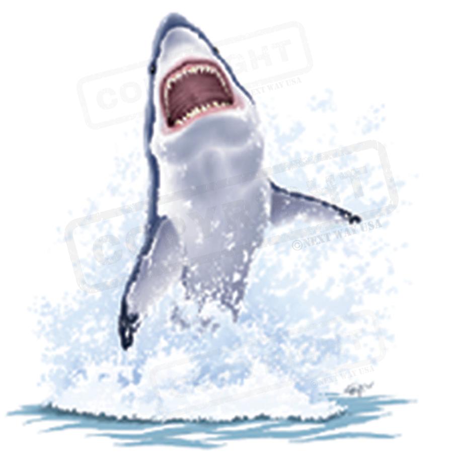 Dynamic Shark Splash Screen Transfer Design - Pack of 25