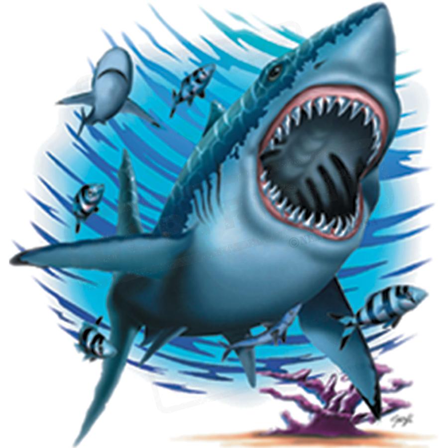 Fierce Shark Screen Transfer Design - Pack of 25