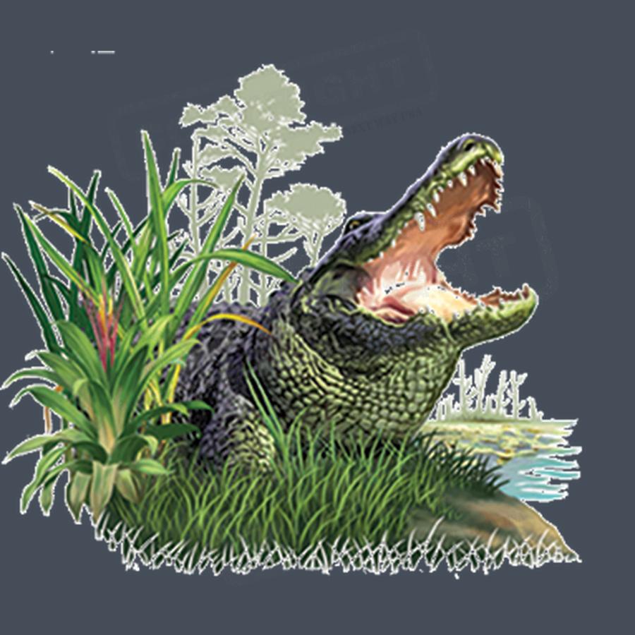 Fierce Alligator Jungle Screen Transfer - Pack of 25