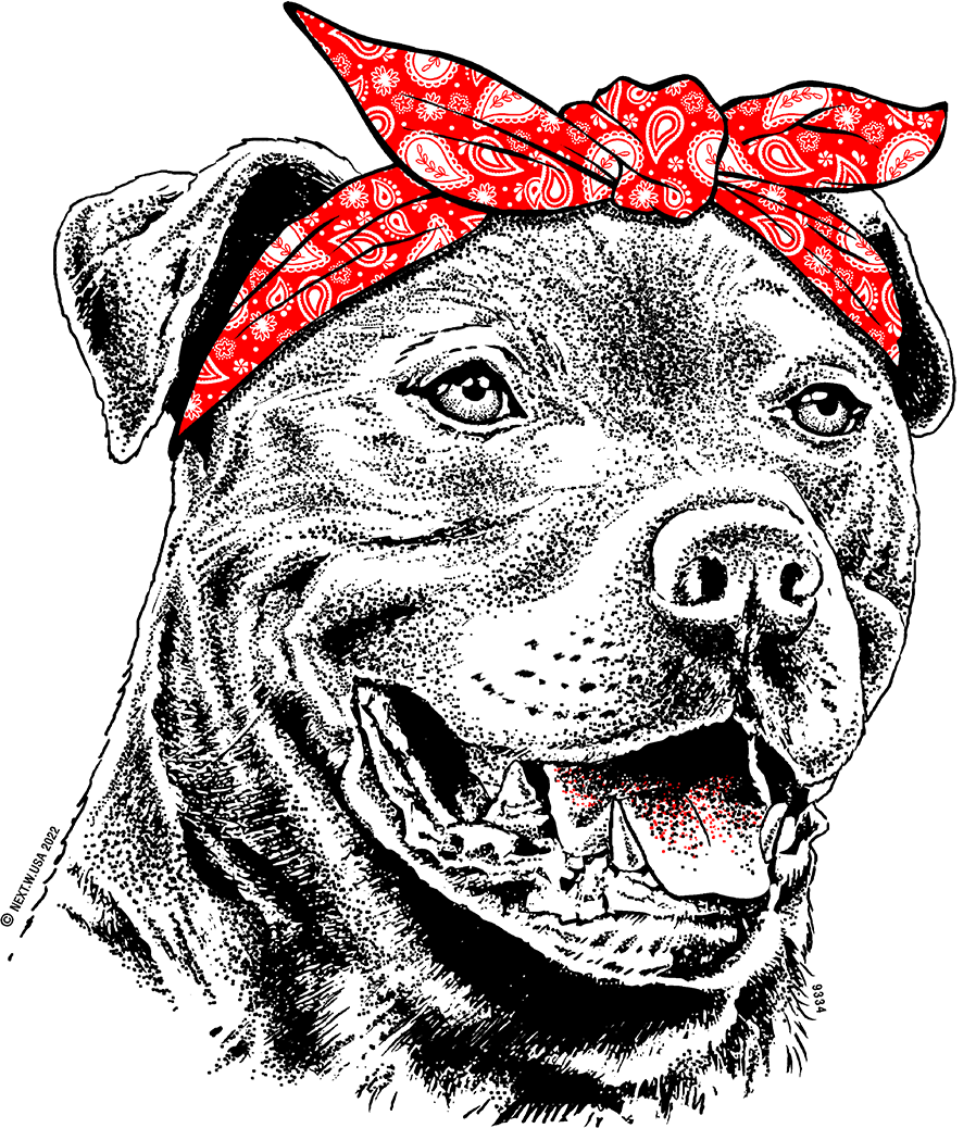 "Cool Dog Bandana Screen Transfer Design" - Pack of 25