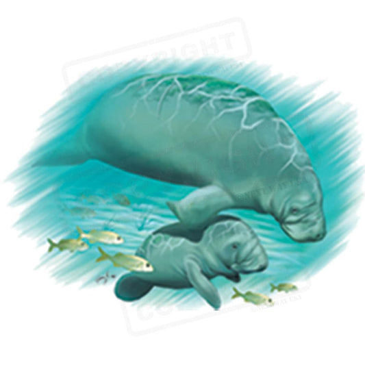 Adorable Manatee Family Screen Print Design - Pack of 25