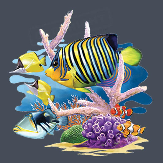 Vibrant Coral Reef Fish Screen Transfer - Pack of 25