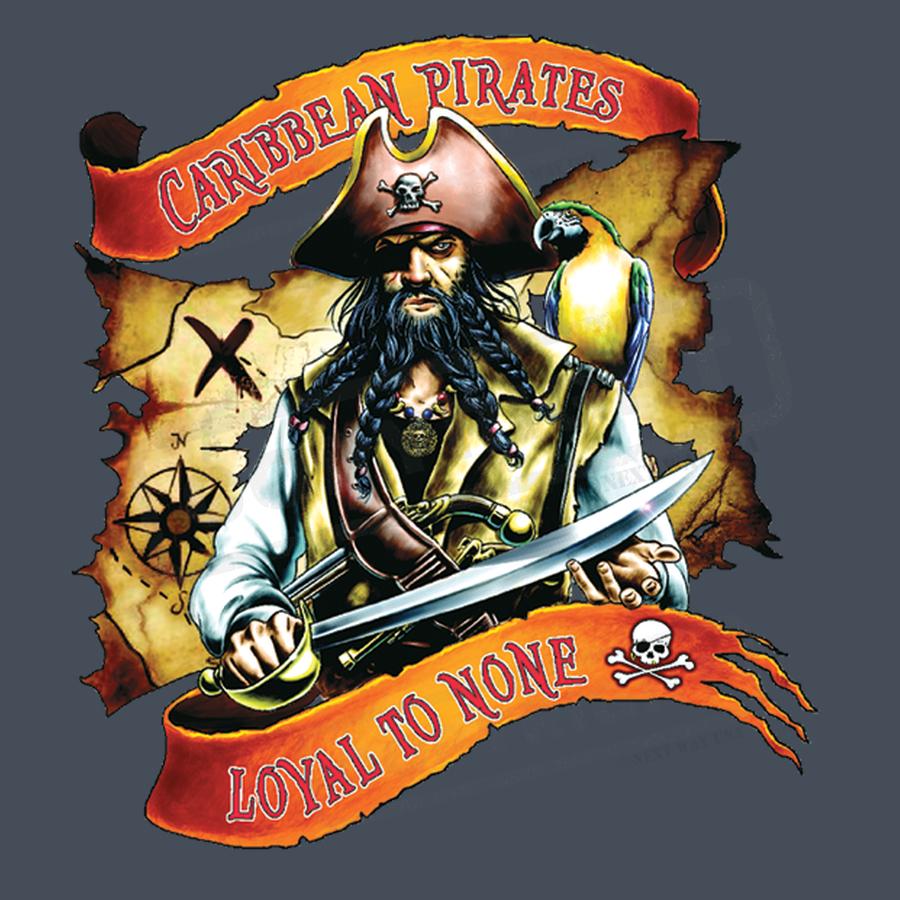 Bold Pirate Screen Transfer Design - Pack of 25