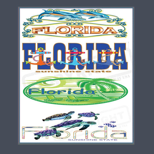 Vibrant Florida Screen Transfers Collection - Pack of 25